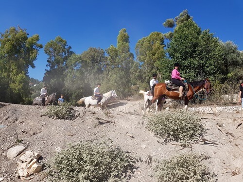 חוות סוסים נוף הרים בגליל